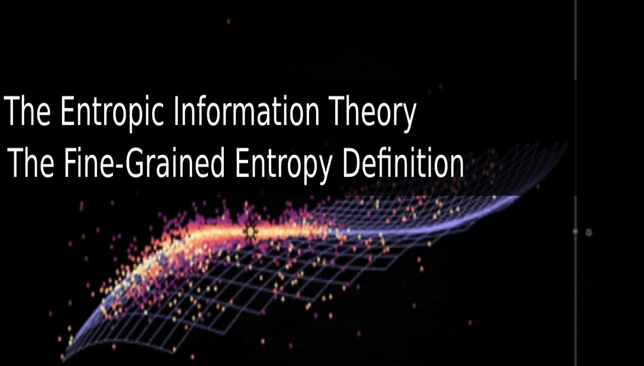 The new Entropic Information approach Fine Grained Entropy Notion and